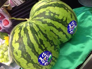 Illustration for article titled Check Out the Sexy Butt on These Watermelons